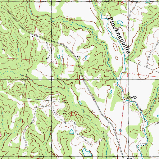 Topographic Map of Pickneyville School, MS