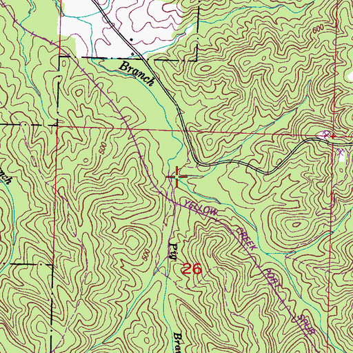 Topographic Map of Pig Branch, MS