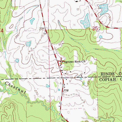 Topographic Map of Pilgrims Rest Church, MS