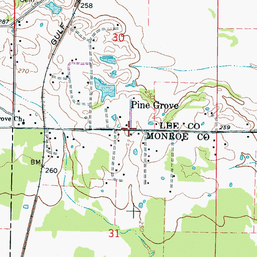 Topographic Map of Pine Grove, MS