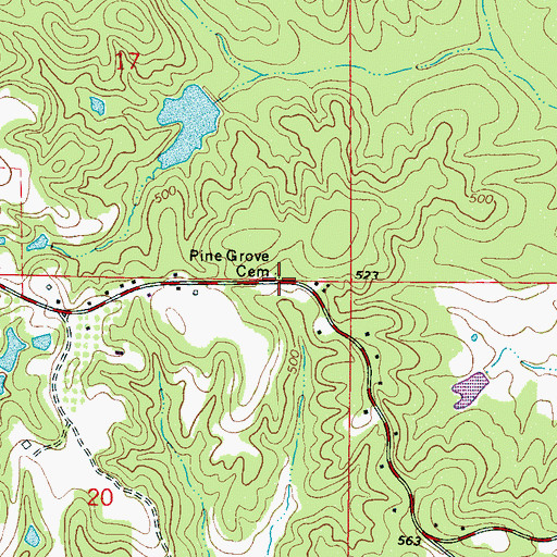 Topographic Map of Pine Grove Cemetery, MS