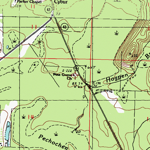 Topographic Map of Pine Grove Church, MS