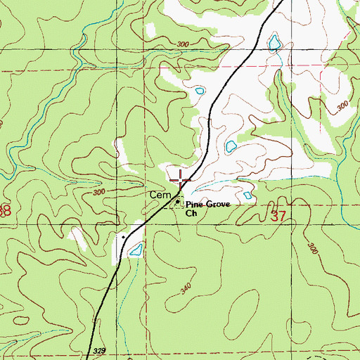 Topographic Map of Pine Grove Church, MS