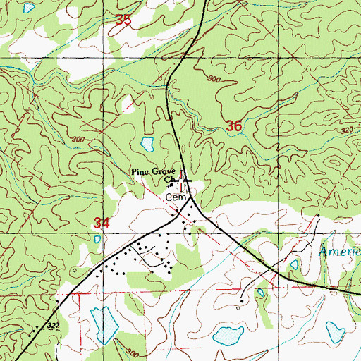 Topographic Map of Pine Grove Church, MS