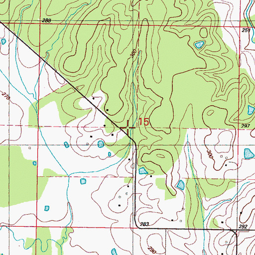 Topographic Map of Pine Grove Church, MS