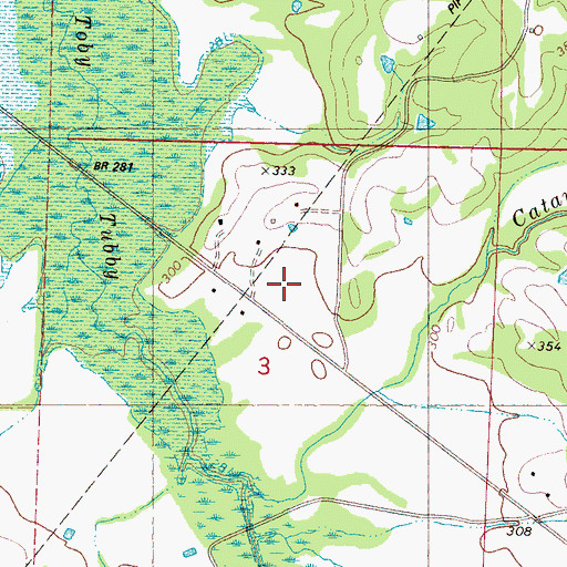 Topographic Map of Pine Grove Church, MS