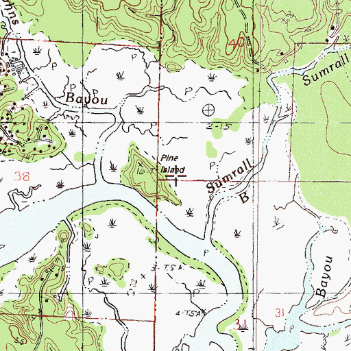 Topographic Map of Pine Island, MS