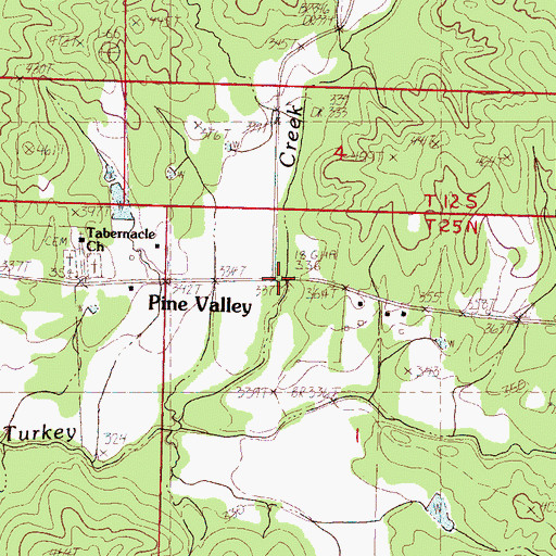 Topographic Map of Pine Valley, MS