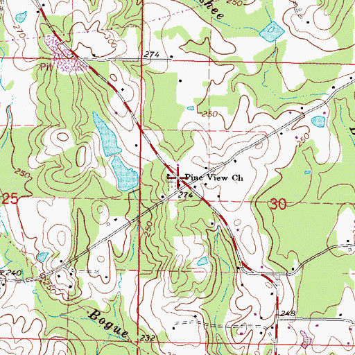 Topographic Map of Pine View Church, MS