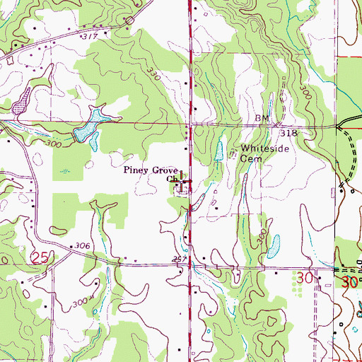Topographic Map of Piney Grove Church, MS