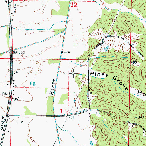 Topographic Map of Piney Grove Hollow, MS