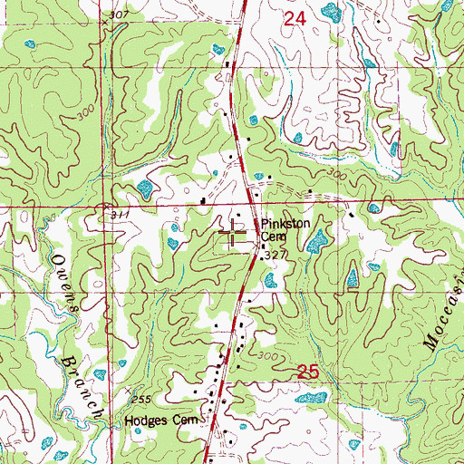 Topographic Map of Pinkston Cemetery, MS