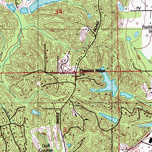 Topographic Map of Pleasant Ridge Church, MS