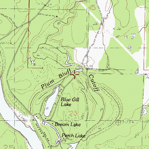 Topographic Map of Plum Bluff Cutoff, MS