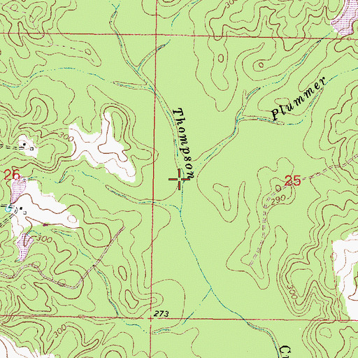 Topographic Map of Plummer Branch, MS