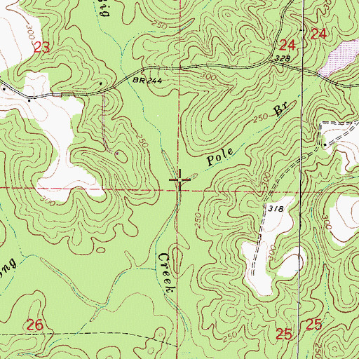 Topographic Map of Pole Branch, MS