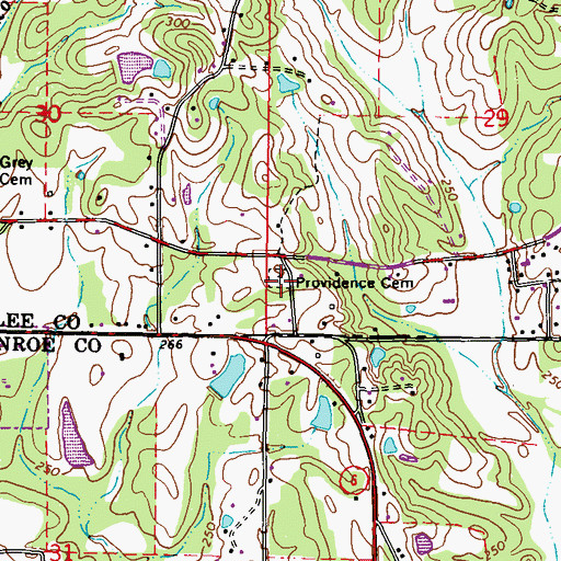 Topographic Map of Providence Cemetery, MS