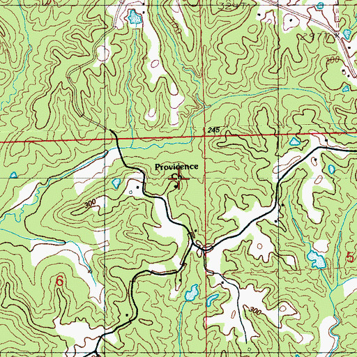Topographic Map of Providence Church, MS