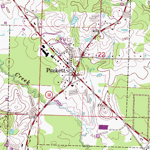 Topographic Map of Puckett, MS
