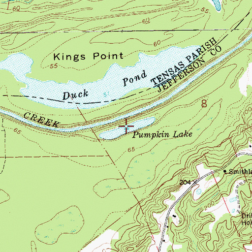 Topographic Map of Pumpkin Lake, MS