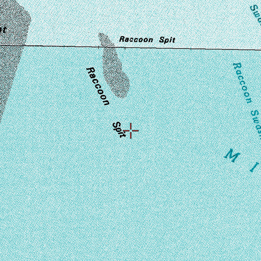 Topographic Map of Raccoon Spit, MS