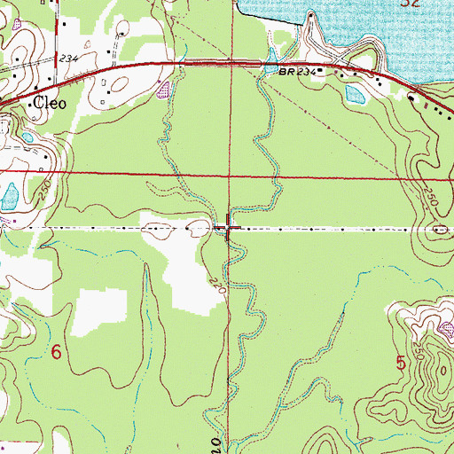 Topographic Map of Rashee Branch, MS