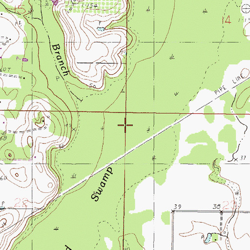 Topographic Map of Red Oak Swamp, MS