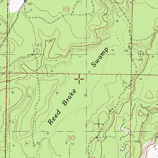 Topographic Map of Reed Brake Swamp, MS