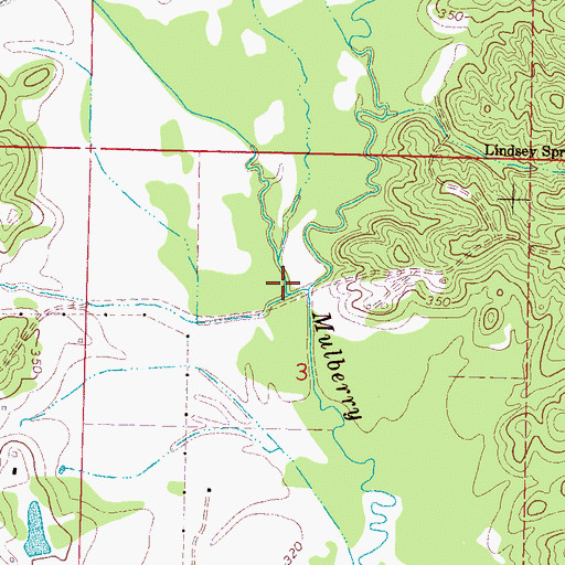 Topographic Map of Reed Creek, MS