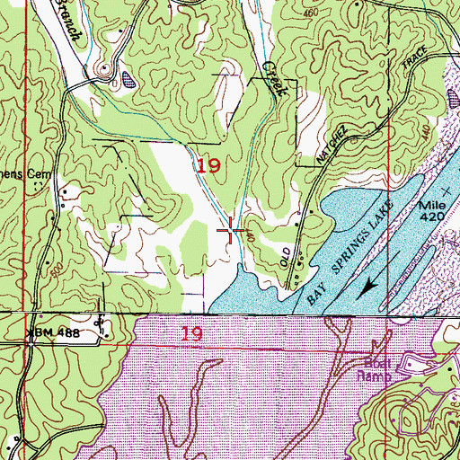Topographic Map of Reedy Branch, MS