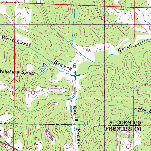 Topographic Map of Reedy Branch, MS