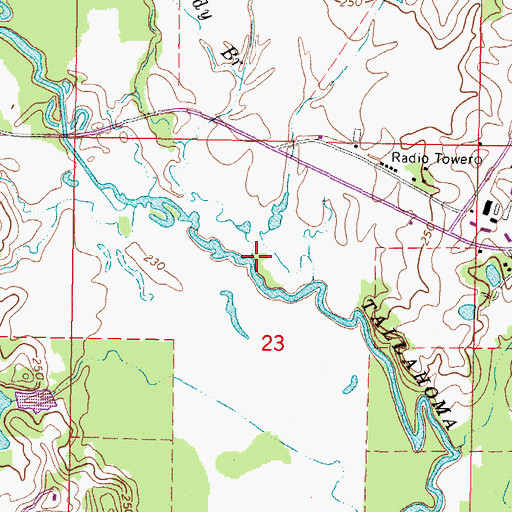 Topographic Map of Reedy Branch, MS