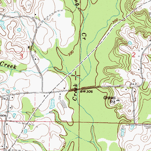 Topographic Map of Reedy Creek, MS