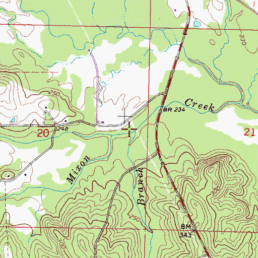 Topographic Map of Reeves Branch, MS