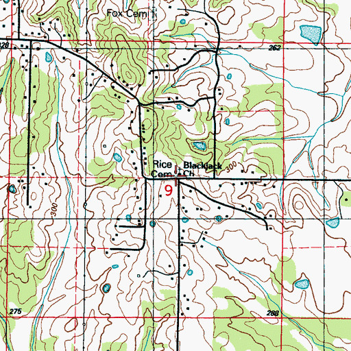 Topographic Map of Rice Cemetery, MS