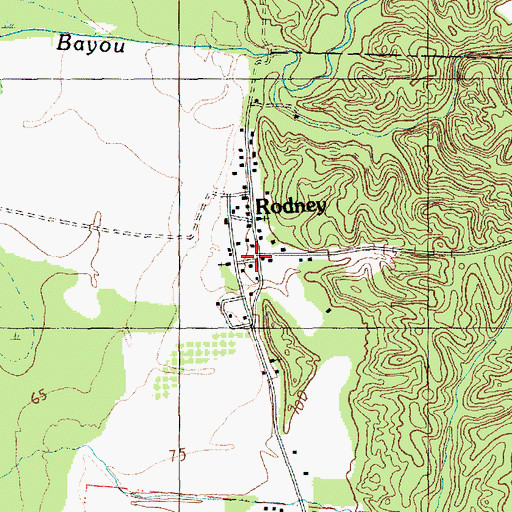 Topographic Map of Rodney, MS