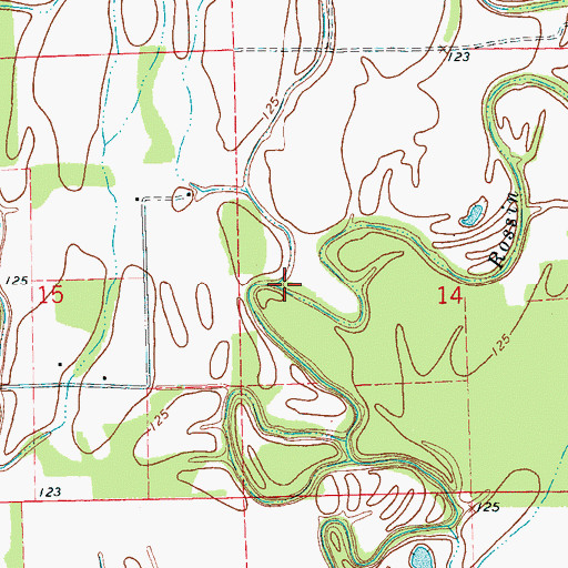 Topographic Map of Rossin Bayou, MS