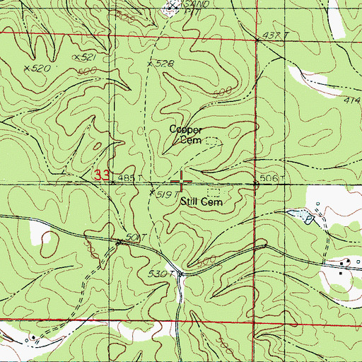Topographic Map of Saint Mary Church, MS