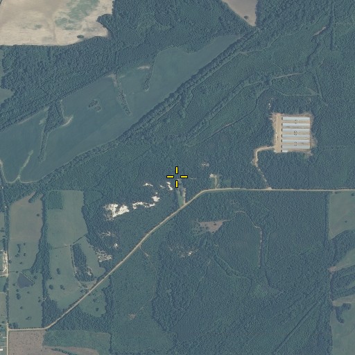 Aerial/Satellite Image of Saint Matthews School, MS