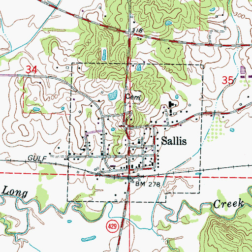 Topographic Map of Sallis, MS