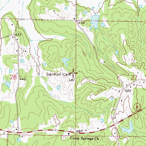 Topographic Map of Salmon Cemetery, MS