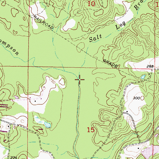 Topographic Map of Salt Log Branch, MS