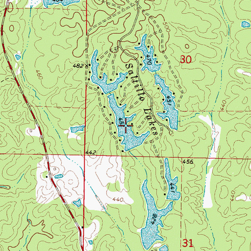 Topographic Map of Saltillo Lakes, MS