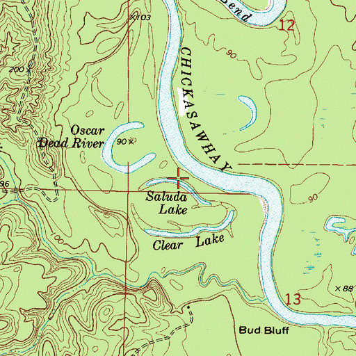 Topographic Map of Saluda Lake, MS