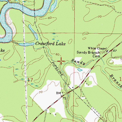 Topographic Map of Sandy Branch, MS