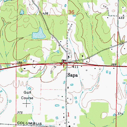 Topographic Map of Sapa, MS