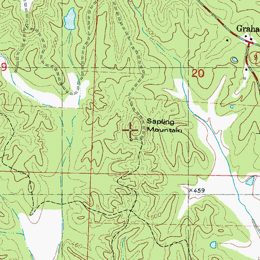 Topographic Map of Sapling Mountain, MS