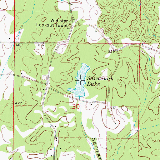 Topographic Map of Savannah Lake, MS