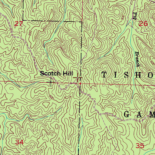 Topographic Map of Scotch Hill, MS