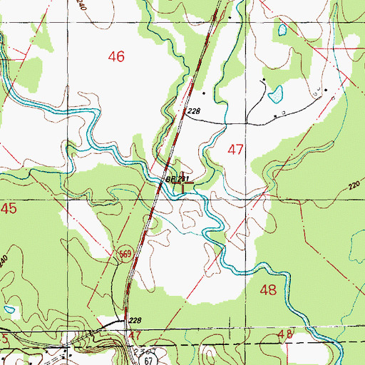 Topographic Map of Section Branch, MS